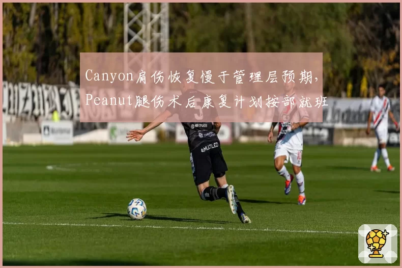 Canyon肩伤恢复慢于管理层预期，Peanut腿伤术后康复计划按部就班
