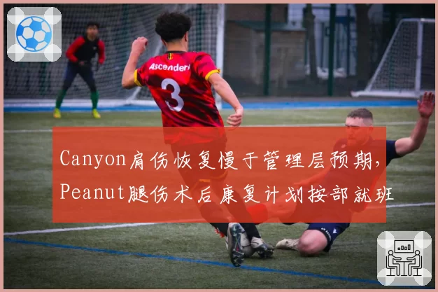 Canyon肩伤恢复慢于管理层预期，Peanut腿伤术后康复计划按部就班