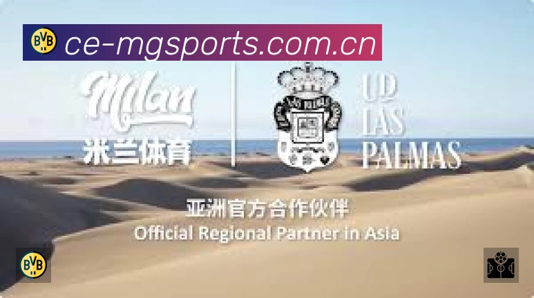 赛事回放与集锦